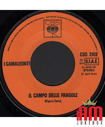 The Strawberry Field [I Camaleonti] – Vinyl 7", 45 RPM [product.brand] 1 - Shop I'm Jukebox 