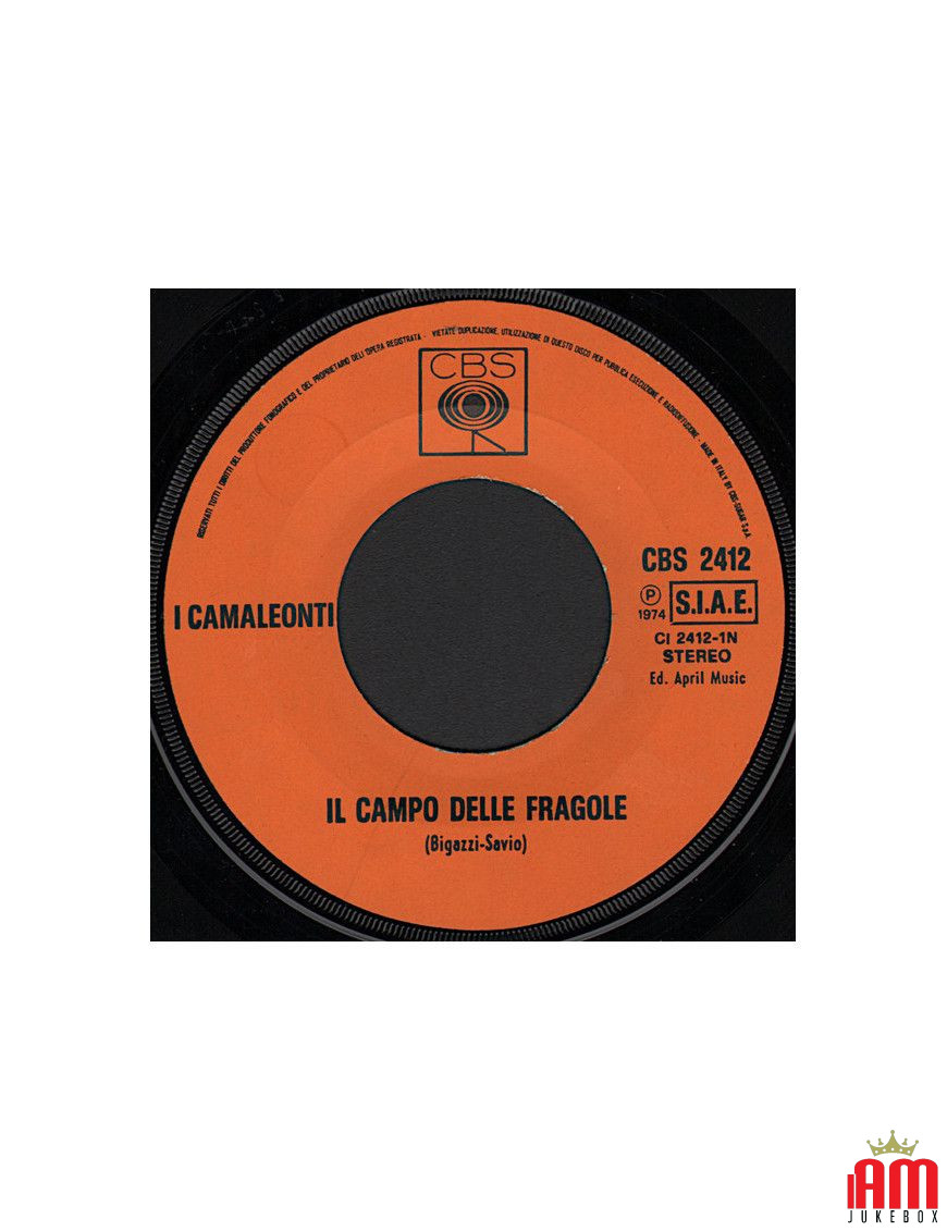 Le champ de fraises [I Camaleonti] - Vinyle 7", 45 tours [product.brand] 1 - Shop I'm Jukebox 