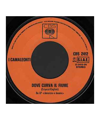 Il Campo Delle Fragole [I Camaleonti] - Vinyl 7", 45 RPM
