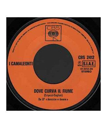 The Strawberry Field [I Camaleonti] – Vinyl 7", 45 RPM [product.brand] 1 - Shop I'm Jukebox 