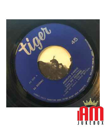 Angelita Di Anzio Solo Due Righe [Duo Colorado,...] – Vinyl 7", 45 RPM [product.brand] 1 - Shop I'm Jukebox 