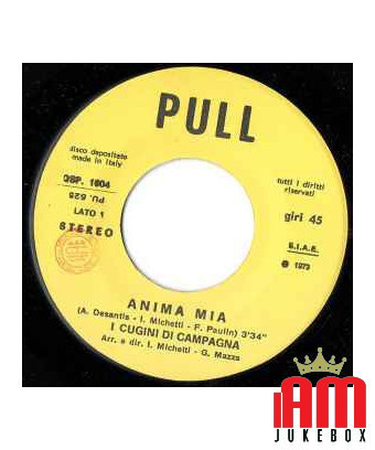 Anima Mia [I Cugini Di Campagna] - Vinyl 7", 45 RPM [product.brand] 1 - Shop I'm Jukebox 
