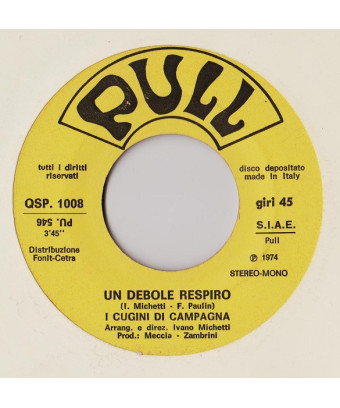 Un'Altra Donna [I Cugini Di Campagna] - Vinyl 7", 45 RPM [product.brand] 1 - Shop I'm Jukebox 