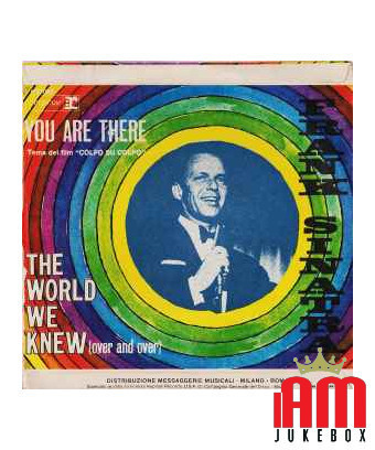 The World We Knew (Over And Over) [Frank Sinatra] – Vinyl 7", 45 RPM, Single [product.brand] 1 - Shop I'm Jukebox 