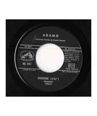 Insieme Inch'Allah [Adamo] - Vinyl 7", 45 RPM [product.brand] 2 - Shop I'm Jukebox iamjukebox.it 2208313-2024-03-29-02-05-35 