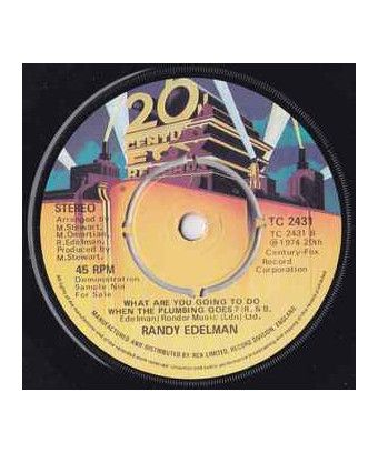 You're The One [Randy Edelman] - Vinyl 7", 45 RPM, Promo [product.brand] 1 - Shop I'm Jukebox 