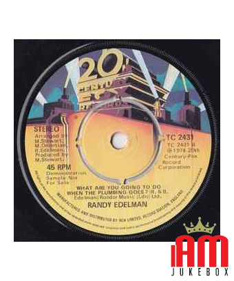 You're The One [Randy Edelman] - Vinyle 7", 45 RPM, Promo [product.brand] 1 - Shop I'm Jukebox 