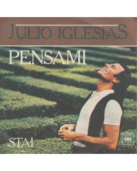 COVER OHNE VINYL 45 RPM Julio Iglesias – Denk an mich [product.brand] 1 - Shop I'm Jukebox 