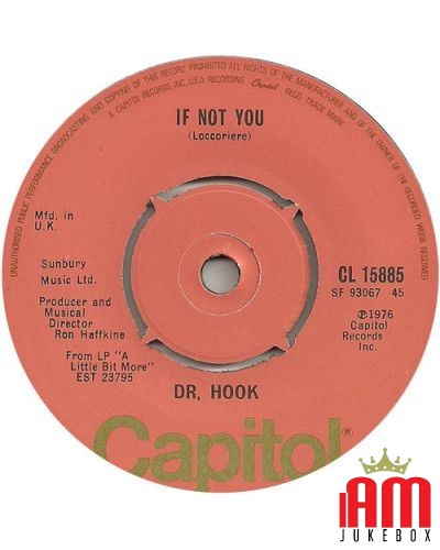 If Not You   Up On The Mountain [Dr. Hook] - Vinyl 7", 45 RPM, Single