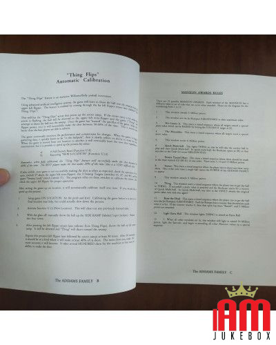 Manuale schematico del flipper della famiglia Addams WPC