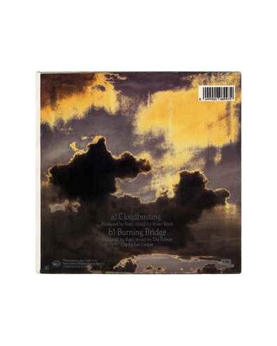 Cloudbusting [Kate Bush] - Vinyl 7", Single [product.brand] 1 - Shop I'm Jukebox 