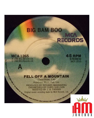 Fell Off A Mountain [Big Bam Boo] - Vinyl 7", 45 RPM, Stereo [product.brand] 1 - Shop I'm Jukebox 