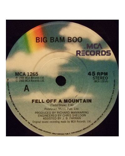 Fell Off A Mountain [Big Bam Boo] - Vinyl 7", 45 RPM, Stereo