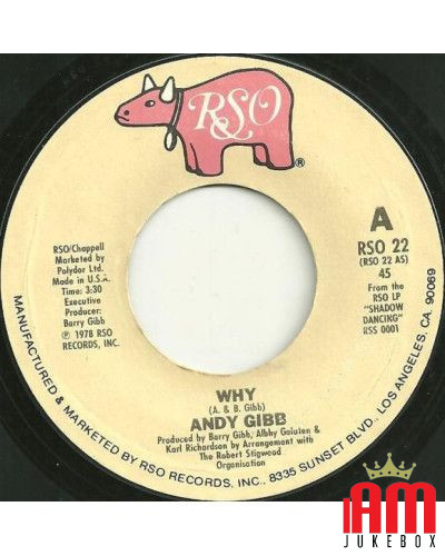 Why One More Look At The Night [Andy Gibb] – Vinyl 7", 45 RPM, Single