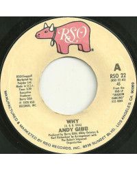 Why One More Look At The Night [Andy Gibb] - Vinyl 7", 45 RPM, Single