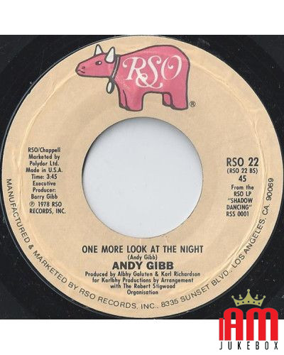 Why One More Look At The Night [Andy Gibb] – Vinyl 7", 45 RPM, Single