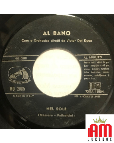 Nel Sole Pensieri "P" 33 [Al Bano Carrisi] - Vinyl 7", 45 RPM [product.brand] 1 - Shop I'm Jukebox 