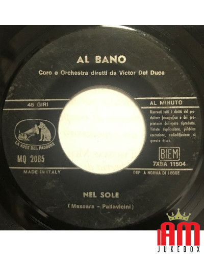 Nel Sole   Pensieri "P" 33 [Al Bano Carrisi] - Vinyl 7", 45 RPM