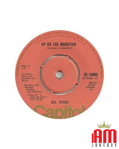 If Not You   Up On The Mountain [Dr. Hook] - Vinyl 7", 45 RPM, Single